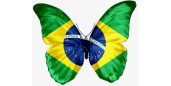 +55 BRAZIL - TDATA - SESSION + JSON - 2FA